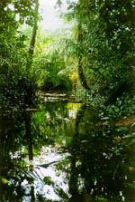 Moat