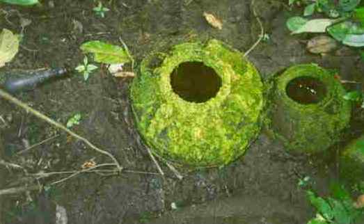 Shrine Pots
