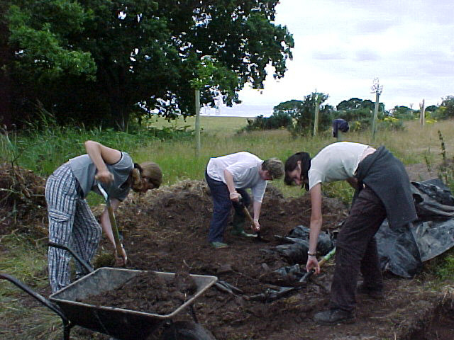 Backfilling TR01