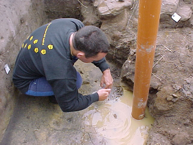 Nigel rescues toads