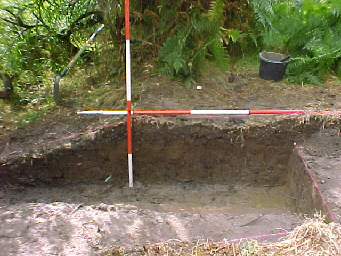 NE end of TR01, SE section