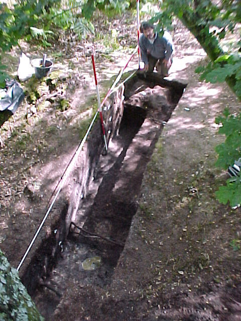 TR02 from tree