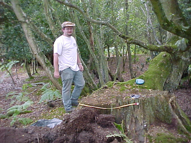 Steve and stump