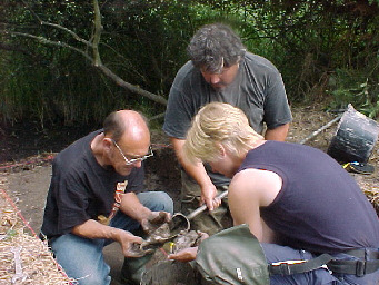 Examining core in TR01