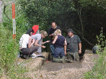 Group interest in TR01 core sample