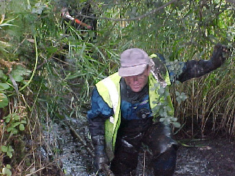 ... a bit muddier