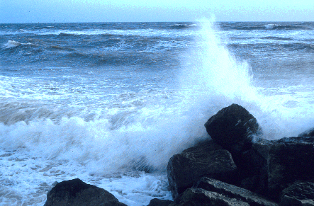 The Sea
